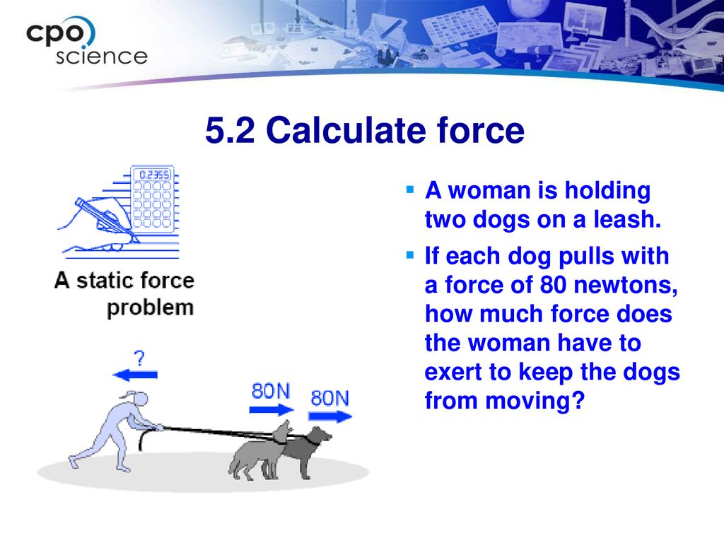 5.2 Calculate force A woman is holding two dogs on a leash.