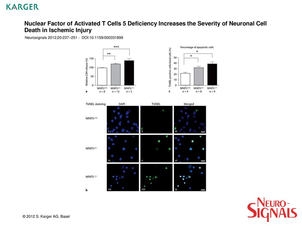 Nuclear Factor of Activated T Cells 5 Deficiency Increases the Severity of Neuronal Cell Death in Ischemic Injury