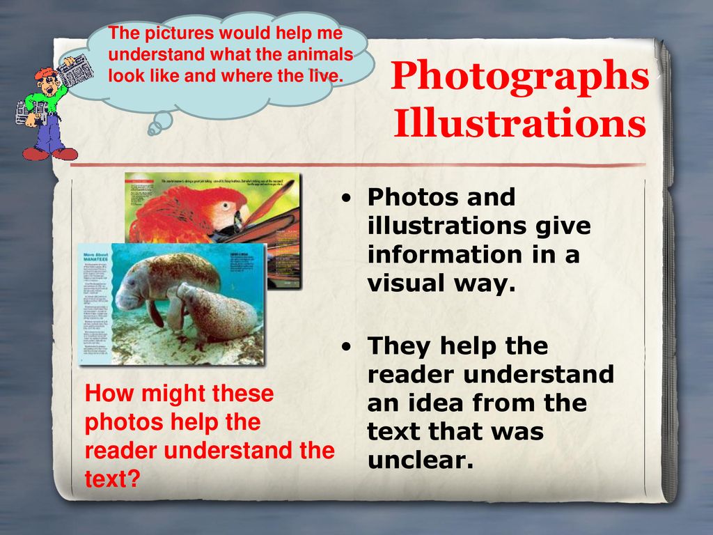 Photographs Illustrations