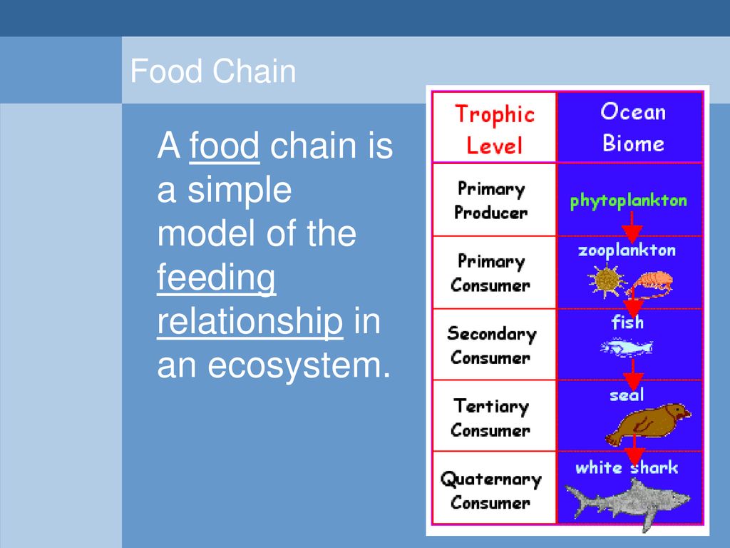 Living organisms need a constant supply of energy Biology Diagrams