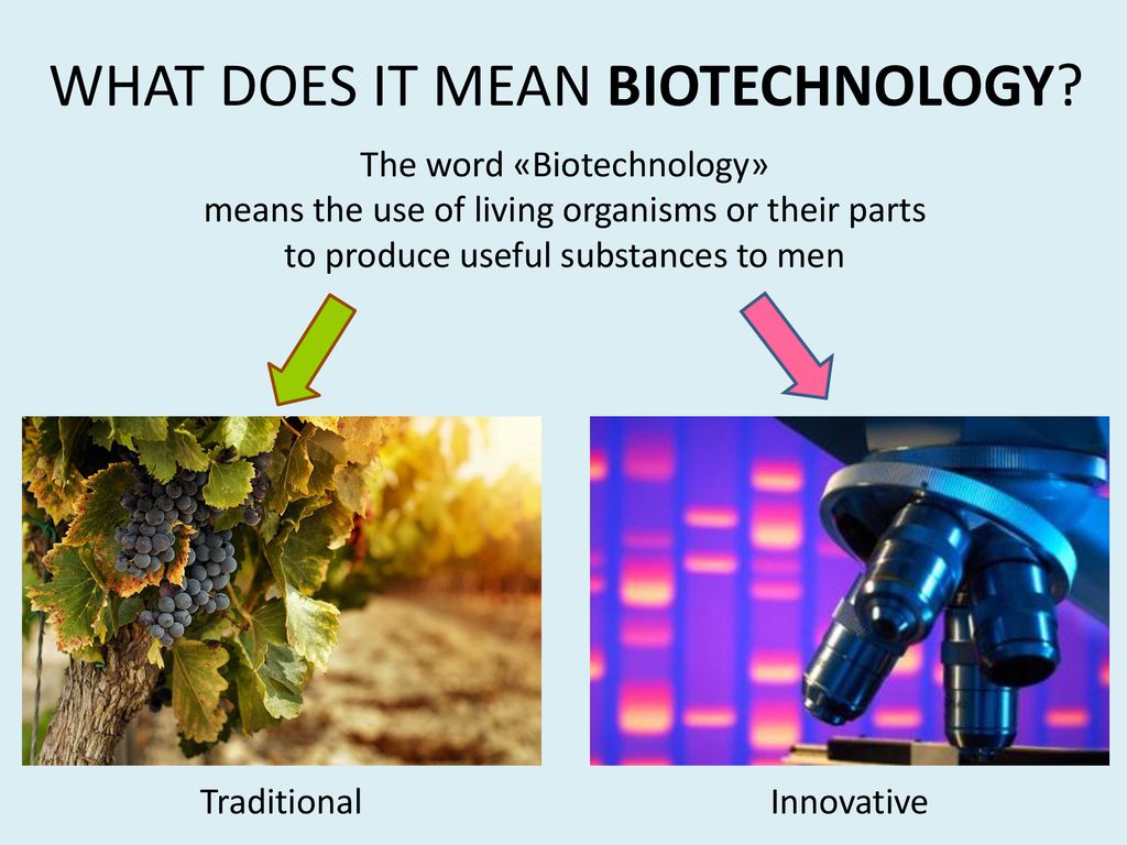 WHAT DOES IT MEAN BIOTECHNOLOGY