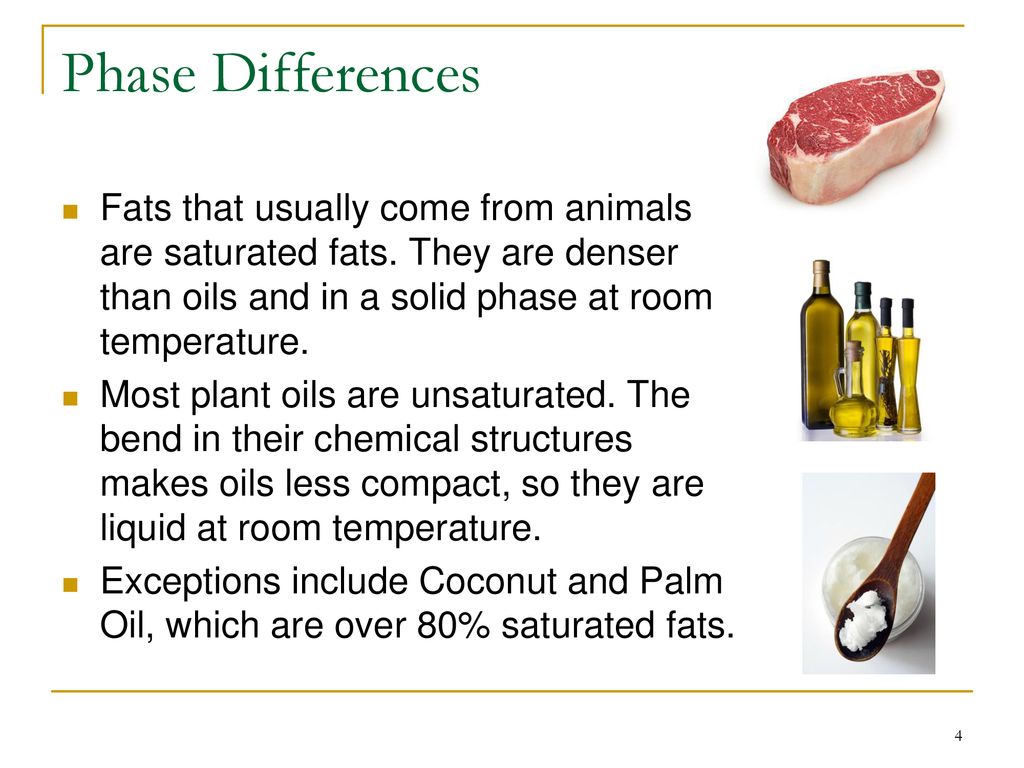 Lipids Part Ii Ppt Download