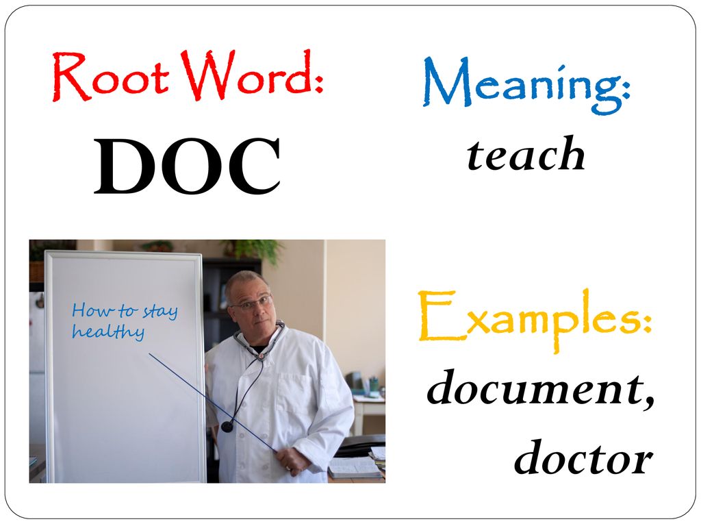 Using Greek and Latin Root Words to Build Vocabulary ppt download