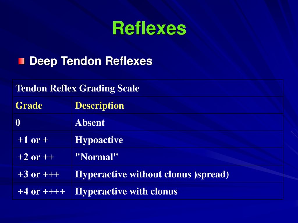 Deep Tendon Reflex Scale