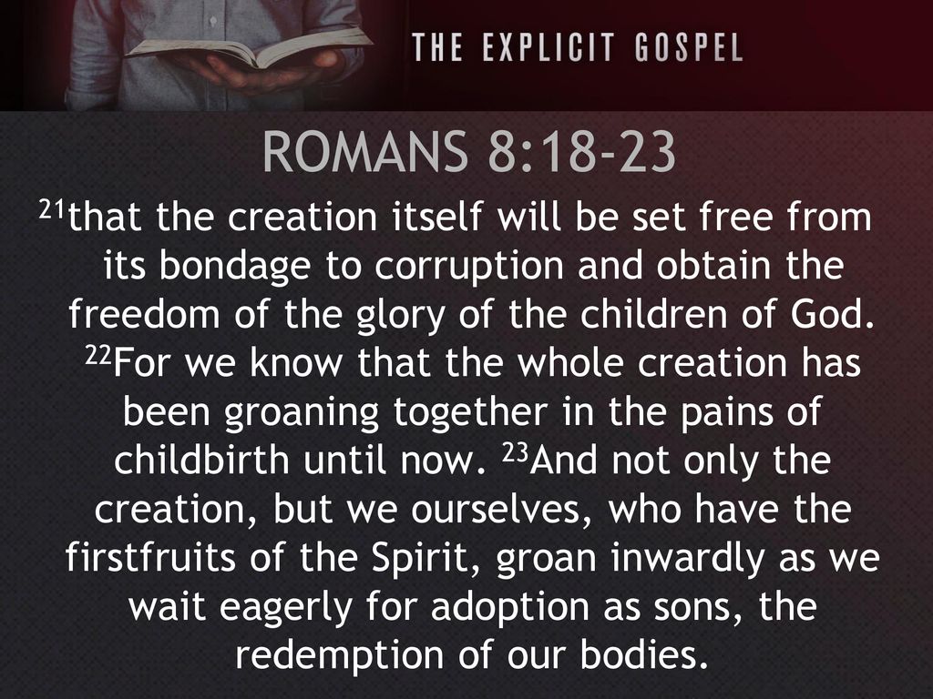 THE LORD OF ALL CREATION Ppt Download the-lord-of-all-creation-ppt-download