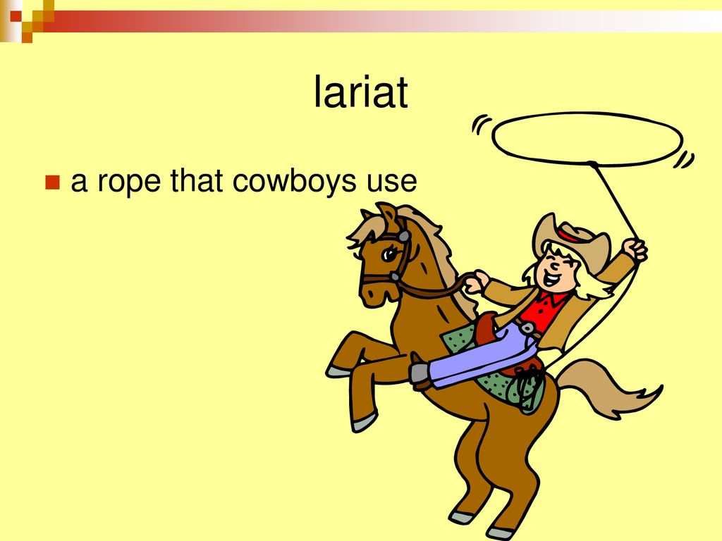 lariat a rope that cowboys use