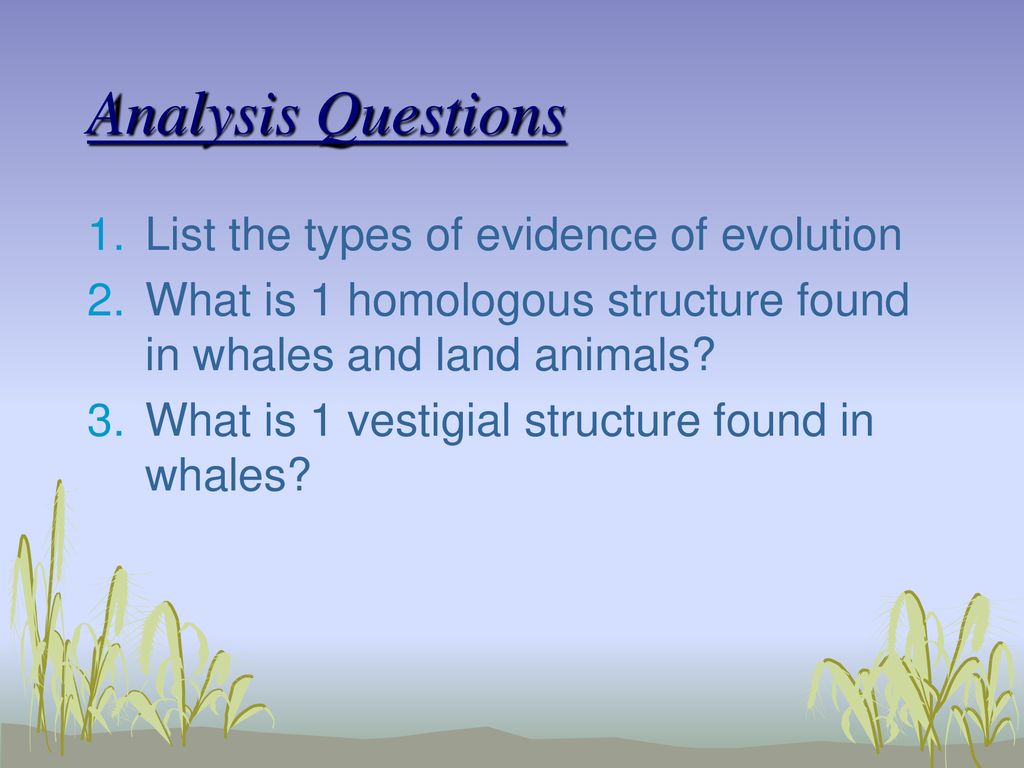 Analysis Questions List the types of evidence of evolution