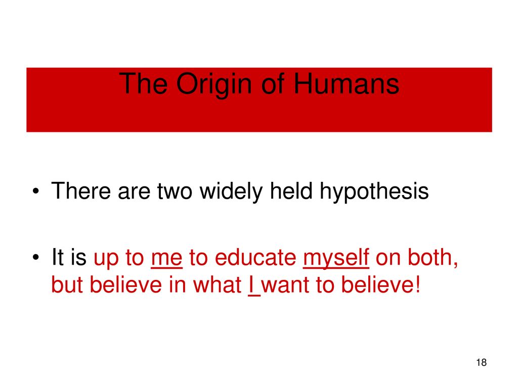 The Origin of Humans There are two widely held hypothesis