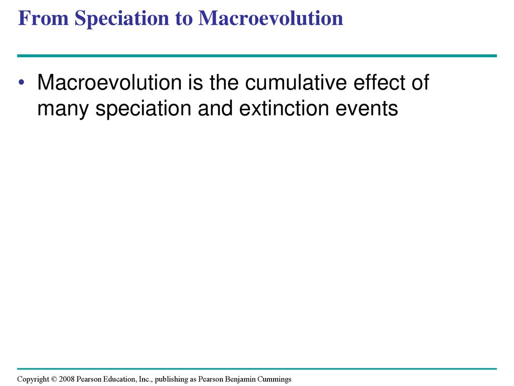 From Speciation to Macroevolution