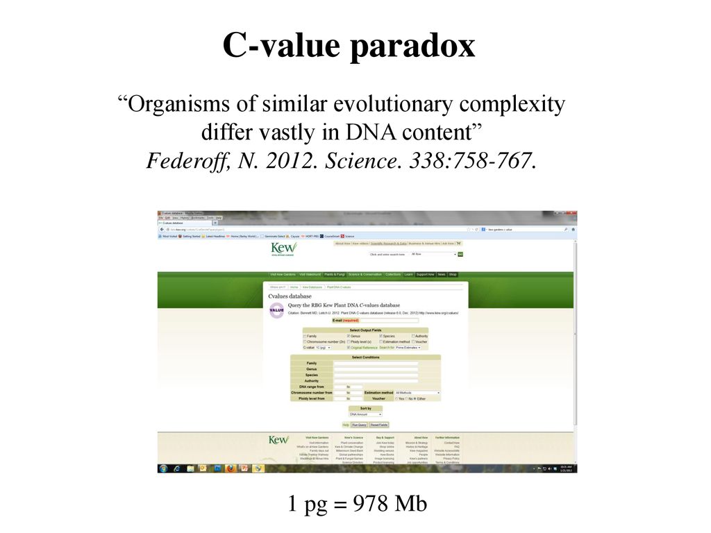C-value paradox Organisms of similar evolutionary complexity