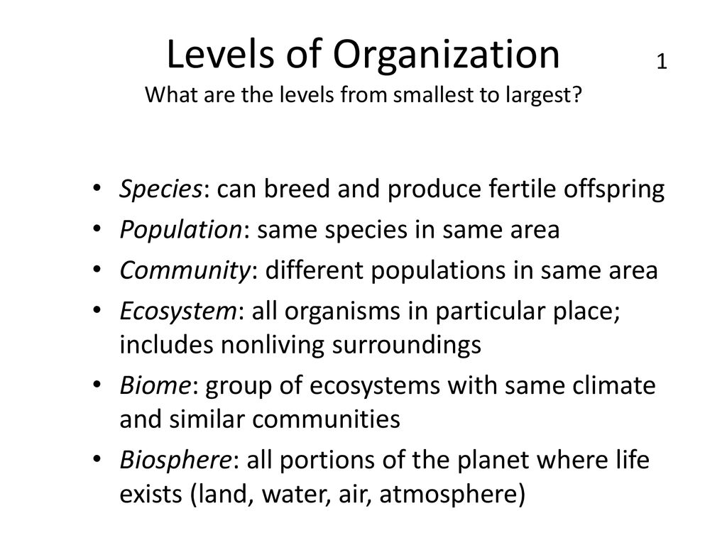 Levels Of Organization Ppt Download levels-of-organization-ppt-download