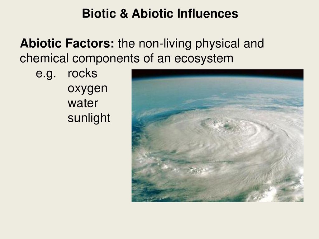 Biotic Abiotic Influences Ppt Download