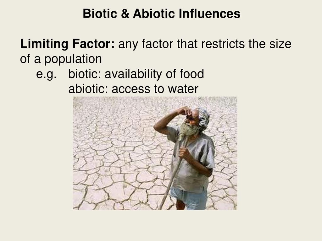 Biotic Abiotic Influences Ppt Download