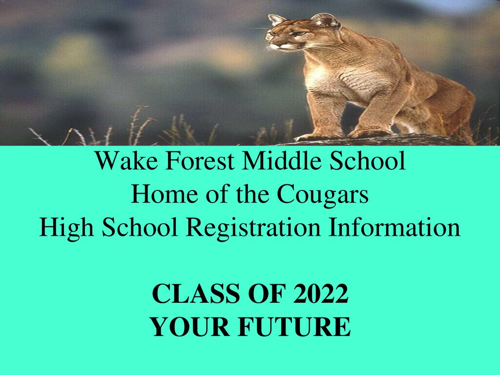 Cougar School 2022