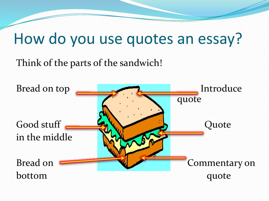 how to introduce a quote into an essay