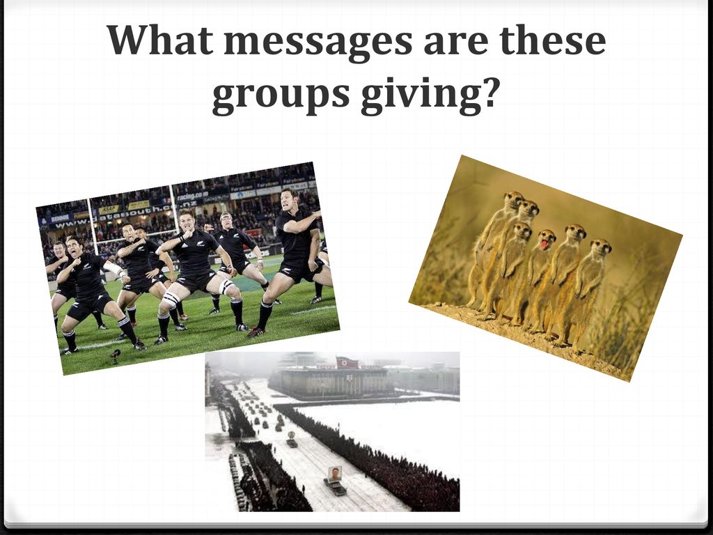 evolutionary-explanation-of-group-displays-ppt-download