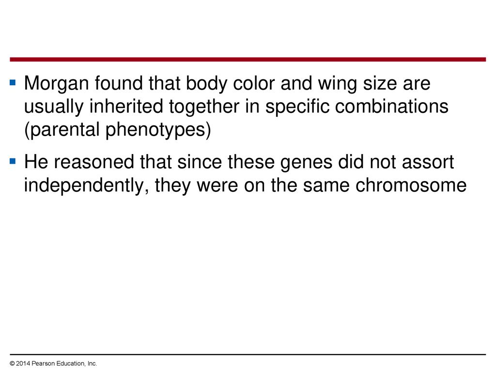 Morgan found that body color and wing size are usually inherited together in specific combinations (parental phenotypes)