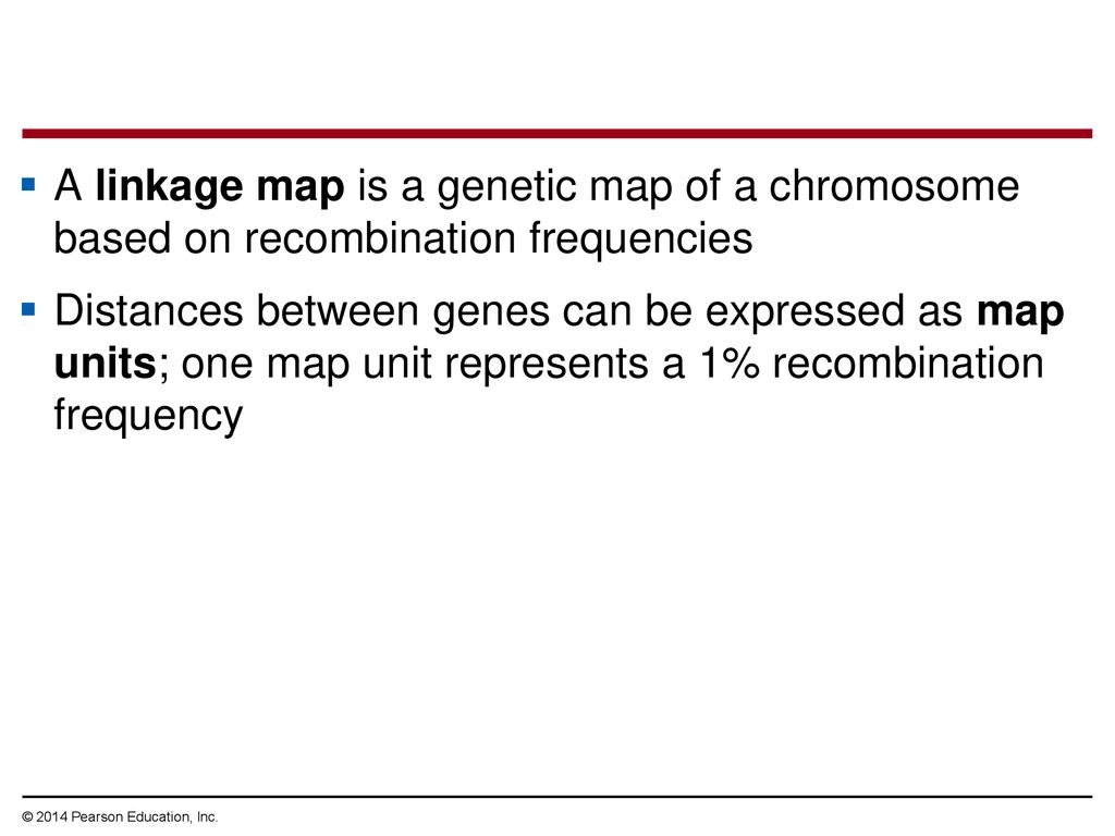 A linkage map is a genetic map of a chromosome based on recombination frequencies