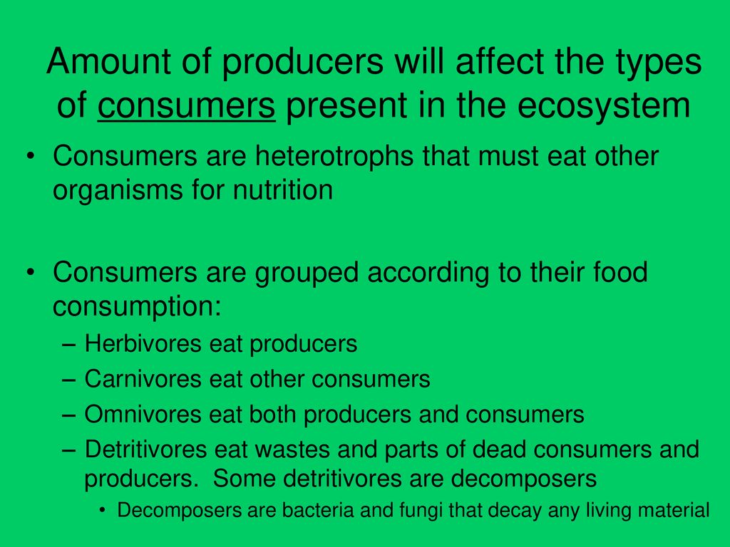 Energy Transfer In Ecosystems Ppt Download energy-transfer-in-ecosystems-ppt-download