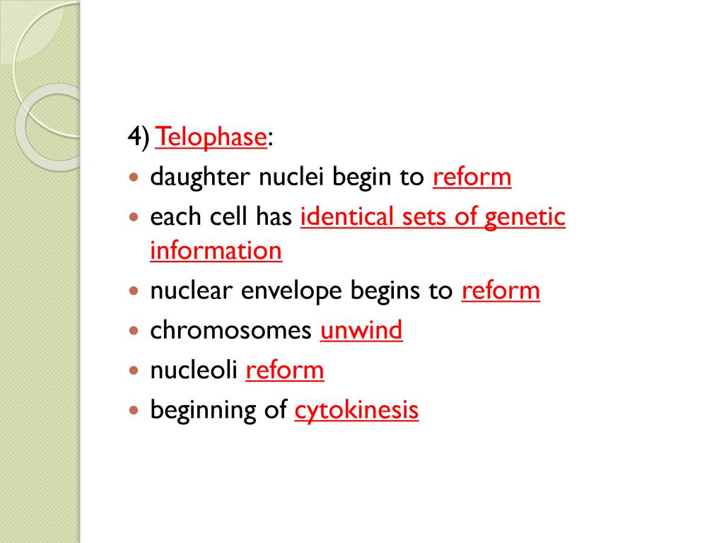 Cellular Division Mitosis and Meiosis Biology Diagrams