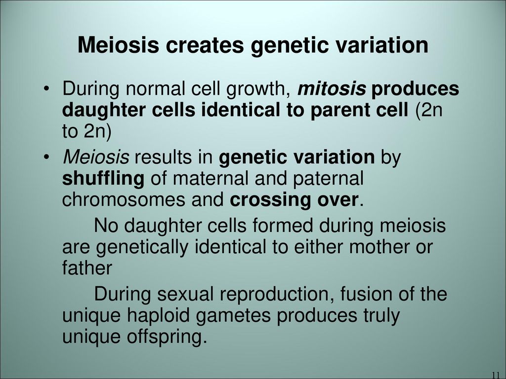 MEIOSIS The Power of Reduction. Biology Diagrams