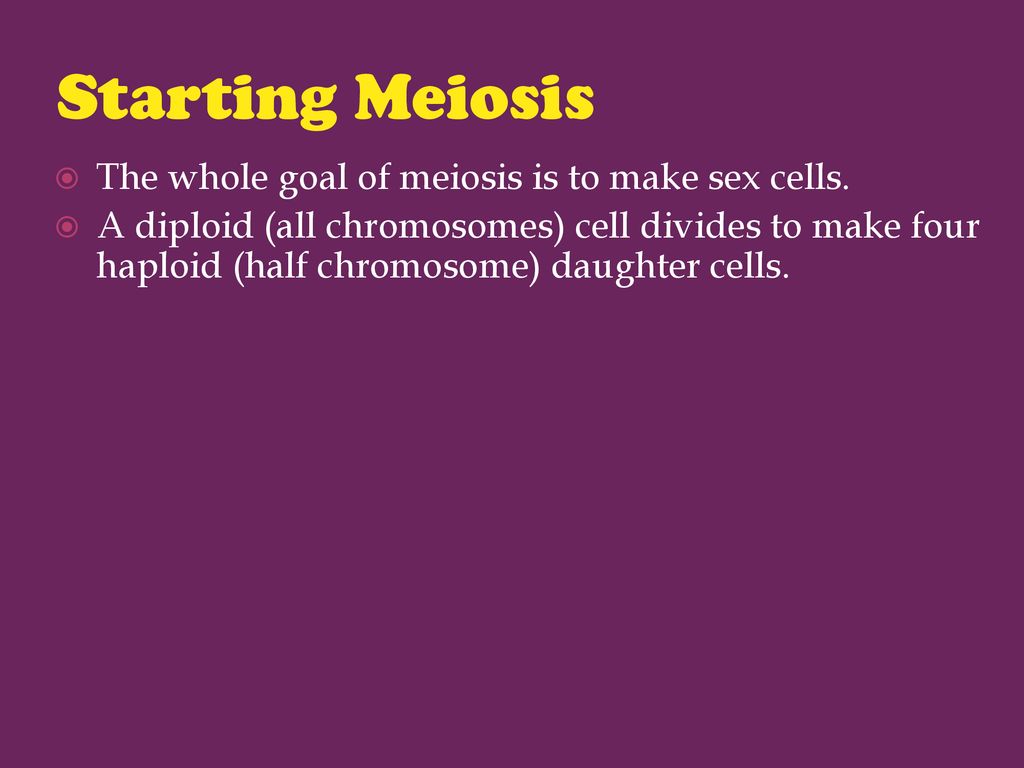 Meiosis And Sexual Reproduction Ppt Download 6020