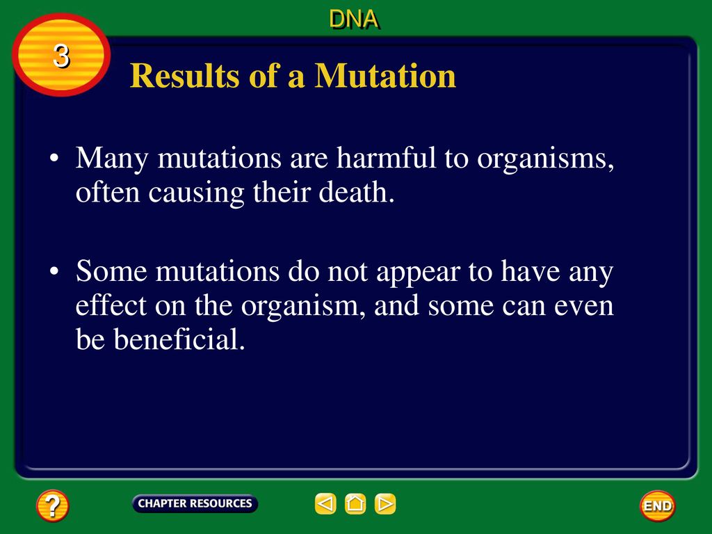 DNA 3. Results of a Mutation. Many mutations are harmful to organisms, often causing their death.