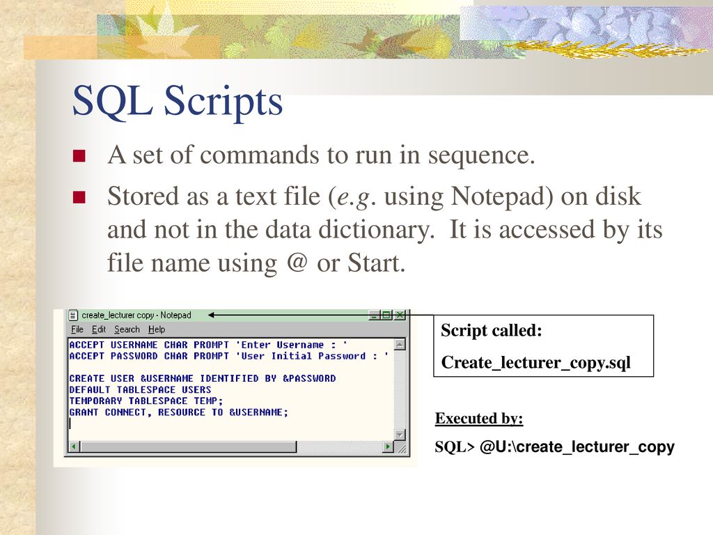 SQL Scripts A set of commands to run in sequence.