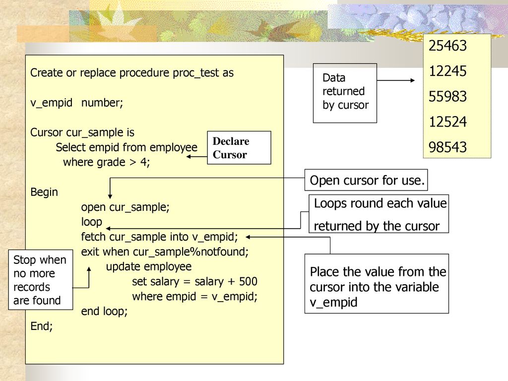 Introduction to PL/SQL Procedures & Cursors - ppt download
