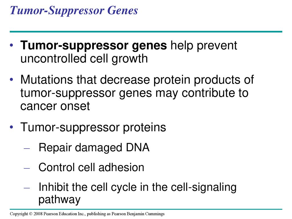 Tumor-Suppressor Genes