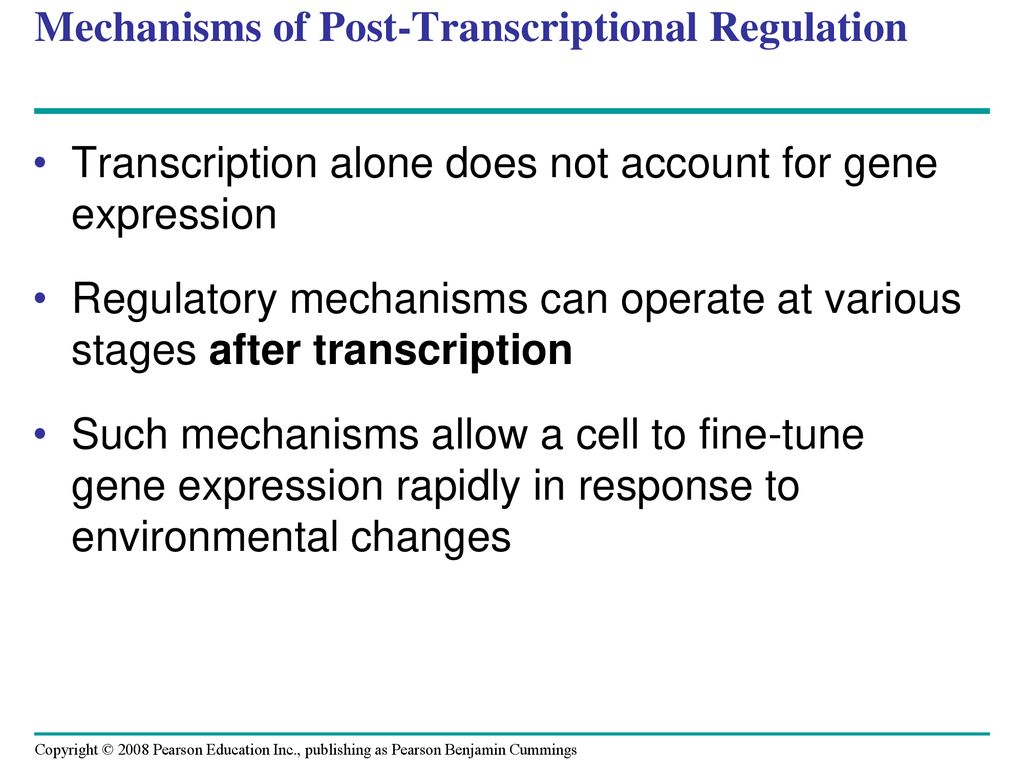 Mechanisms of Post-Transcriptional Regulation