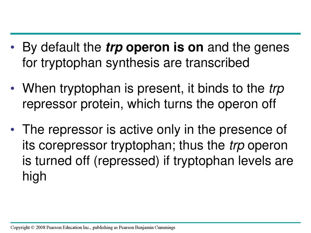 By default the trp operon is on and the genes for tryptophan synthesis are transcribed