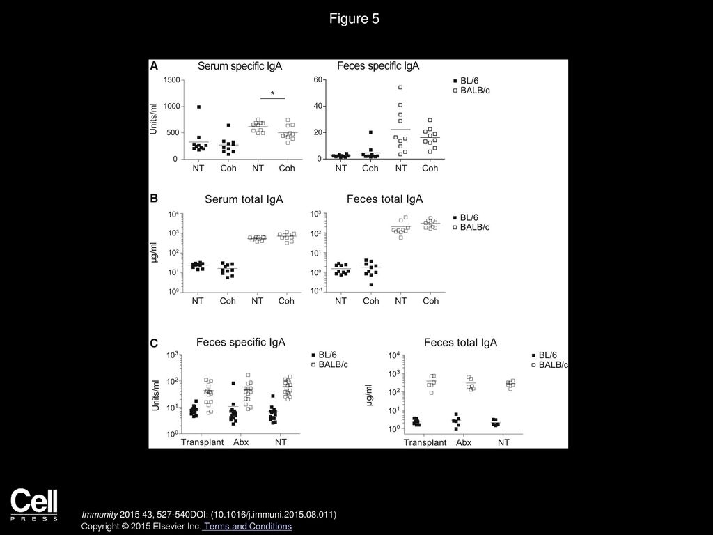 Figure 5 IgA Amounts in C56BL/6 and BALB/c Mice Are Stable after Co-housing or Fecal Transplantation.