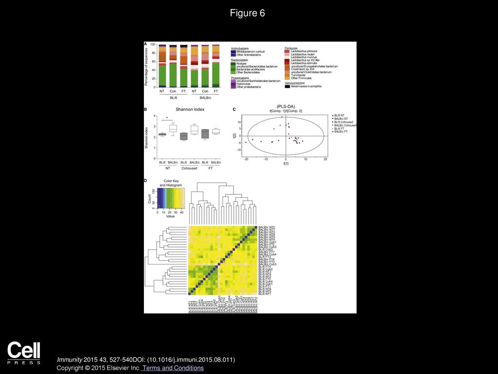 Figure 6 C56BL/6 and BALB/c Mice Harbor a Strain-Specific Microbiota