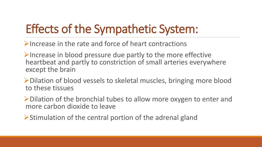 Sympathetic and Parasympathetic Nervous System - ppt download