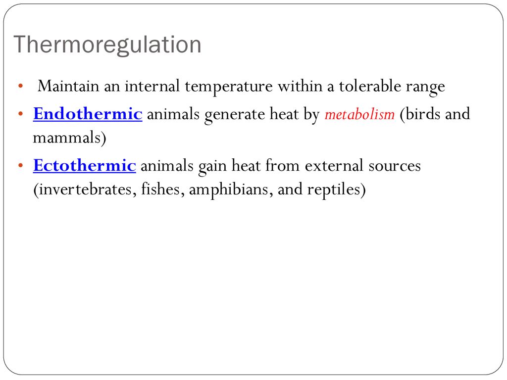 Anatomy & Physiology Review - ppt download
