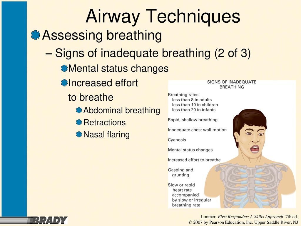 Chapter 6 Breathing and Ventilation - ppt download