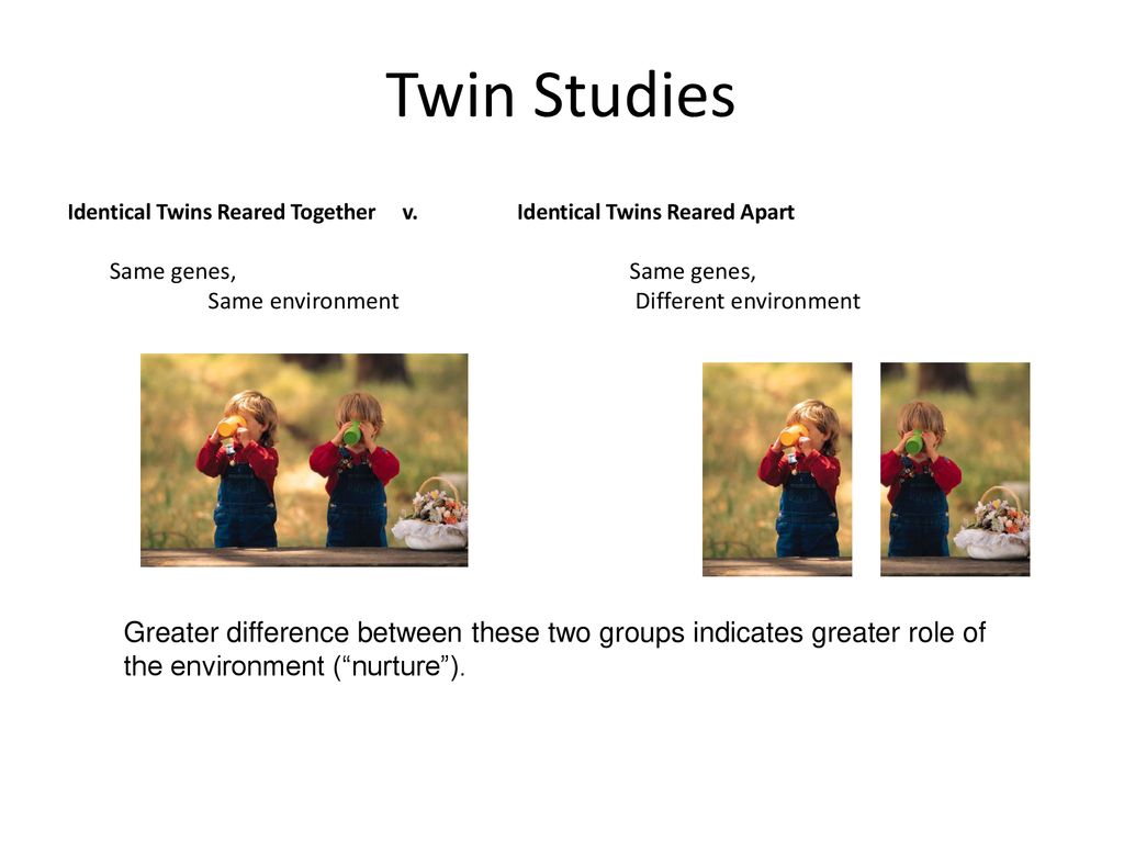 Behavior Genetics Behavior Genetics: the study of the interaction of
