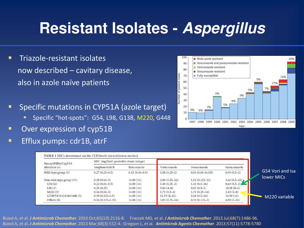 Resistant Isolates - Aspergillus