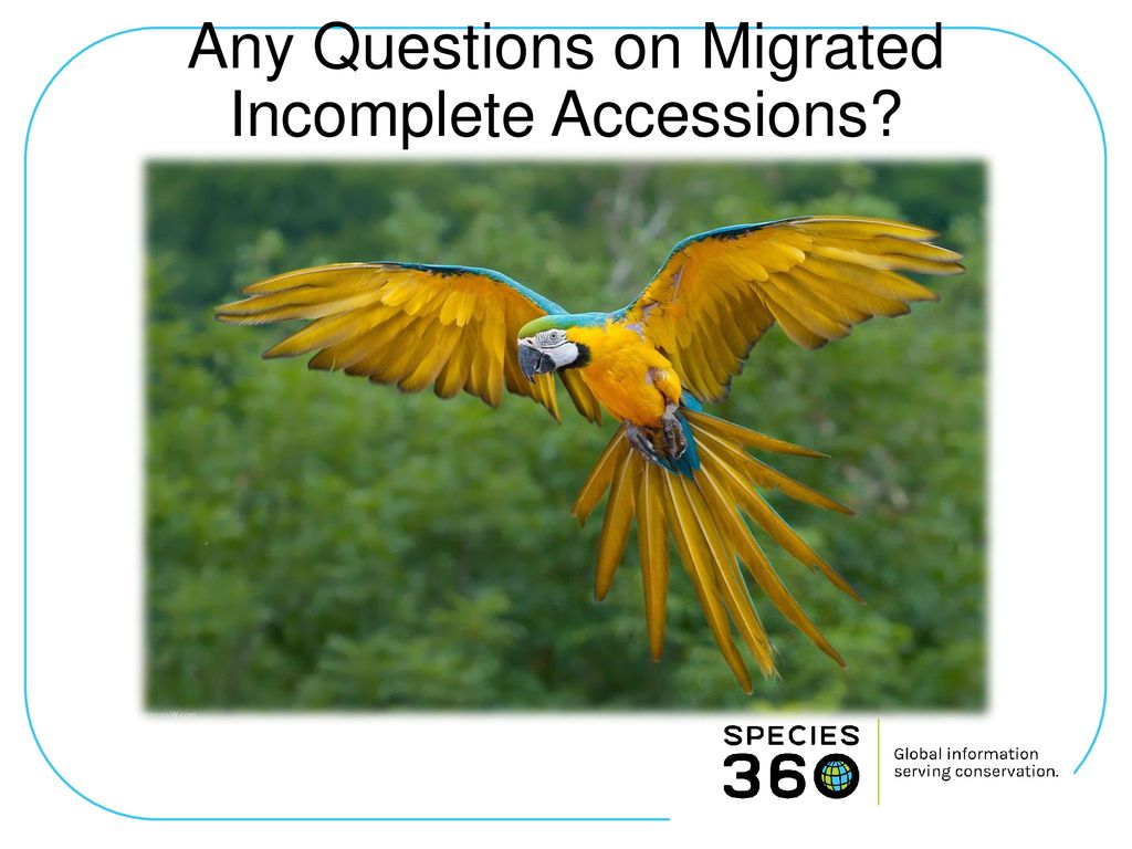 Any Questions on Migrated Incomplete Accessions
