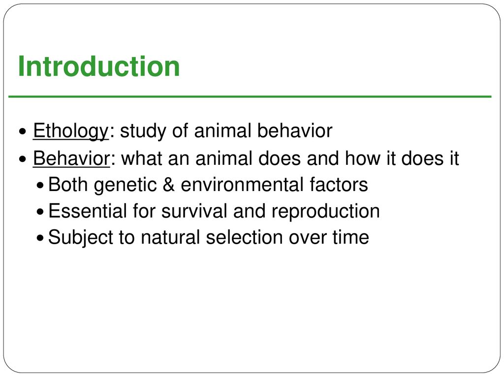 Animal Behavior Virtual Lab Ppt Download