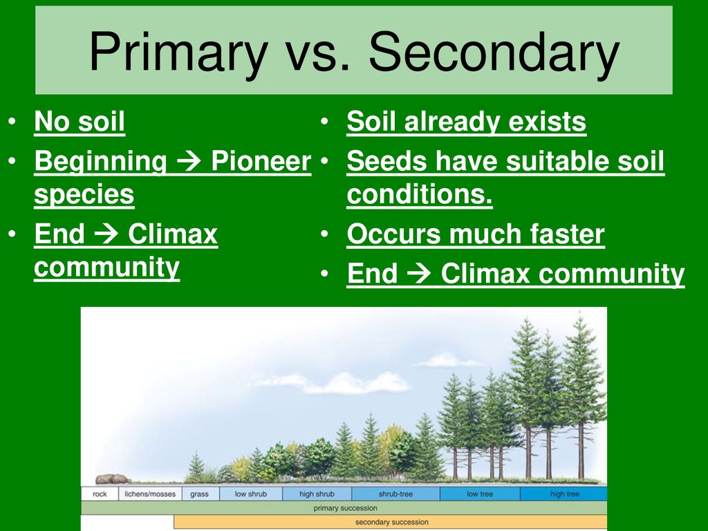 Ecological succession ppt download