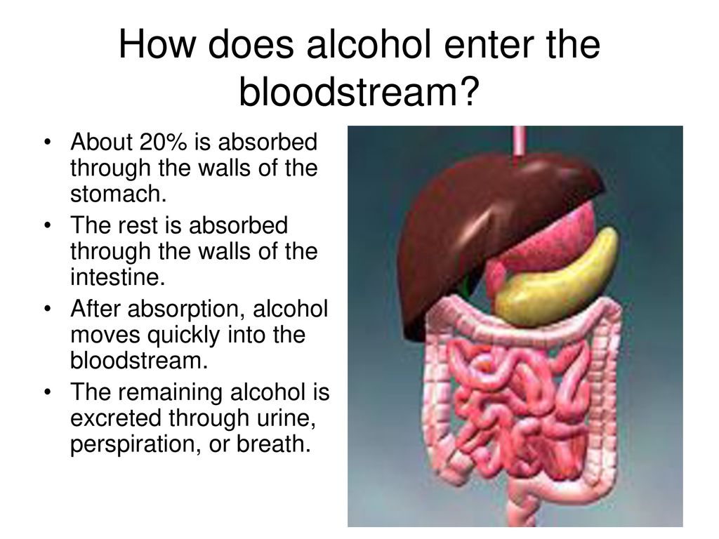 alcohol and aspirin are absorbed into the bloodstream from the