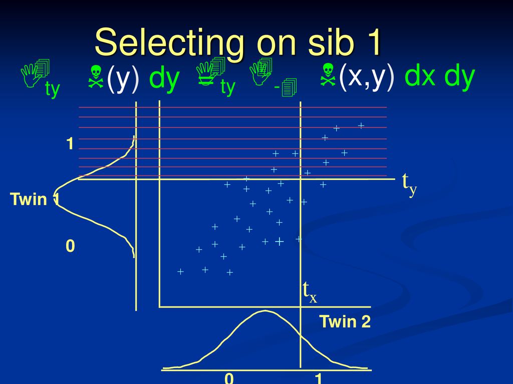 Selecting on sib Ity I-4 N(x,y) dx dy Ity N(y) dy = ty tx 1