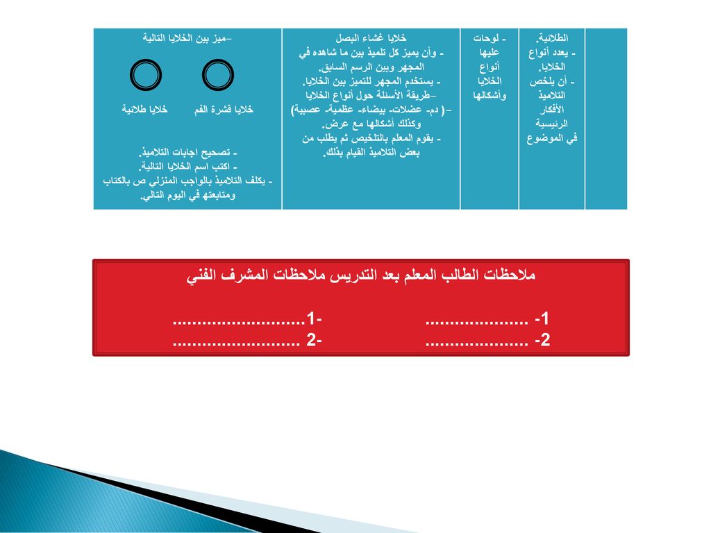 Arabic Language Edition Milling And Grain Issue 1 2019 By Perendale Publishers Issuu