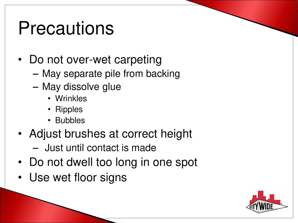 For The Life Of Your Carpet Ppt Download