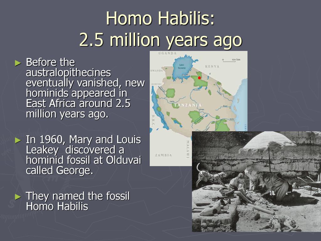 Homo Habilis: 2.5 million years ago
