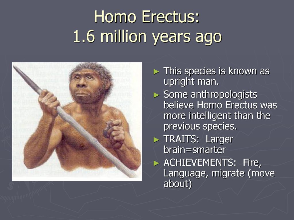 Homo Erectus: 1.6 million years ago