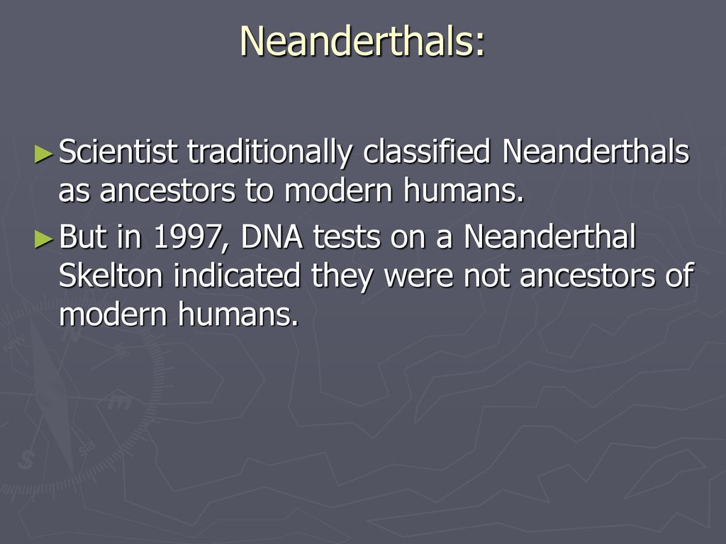 Neanderthals: Scientist traditionally classified Neanderthals as ancestors to modern humans.