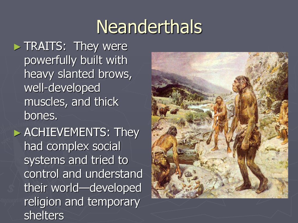 Neanderthals TRAITS: They were powerfully built with heavy slanted brows, well-developed muscles, and thick bones.